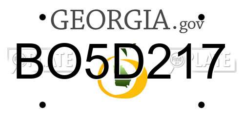 BO5D217 Georgia License Plate
