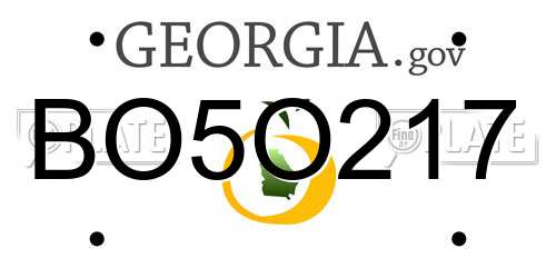 BO5O217 Georgia License Plate