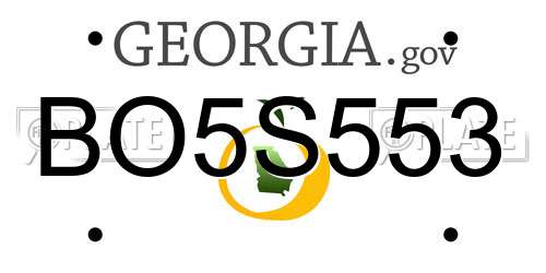 BO5S553 Georgia License Plate
