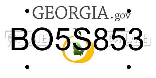 BO5S853 Georgia License Plate