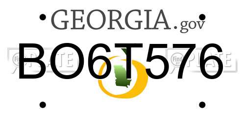 BO6T576 Georgia License Plate