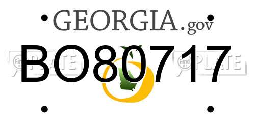 BO80717 Georgia License Plate