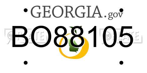 BO88105 Georgia License Plate