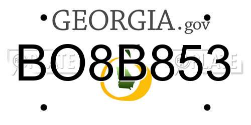 BO8B853 Georgia License Plate