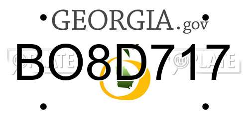 BO8D717 Georgia License Plate