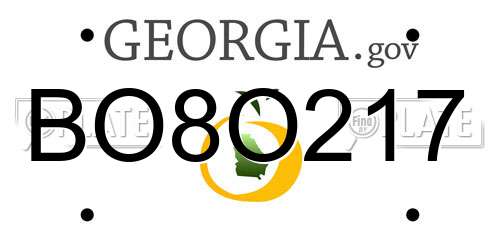 BO8O217 Georgia License Plate