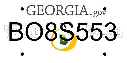 BO8S553 Georgia License Plate