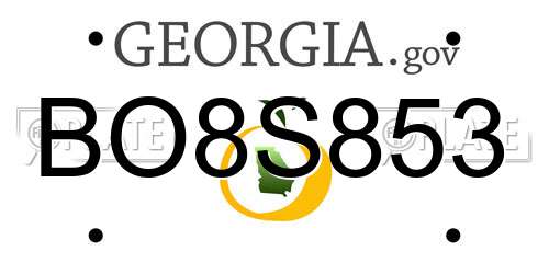 BO8S853 Georgia License Plate