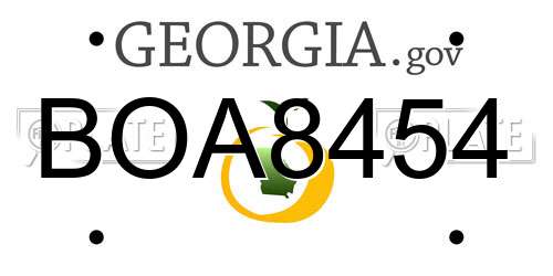BOA8454 Georgia License Plate