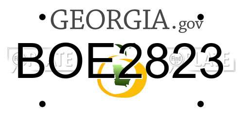 BOE2823 Georgia License Plate
