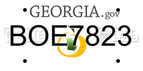 BOE7823 Georgia License Plate