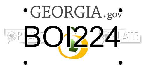 BOI224 Georgia License Plate