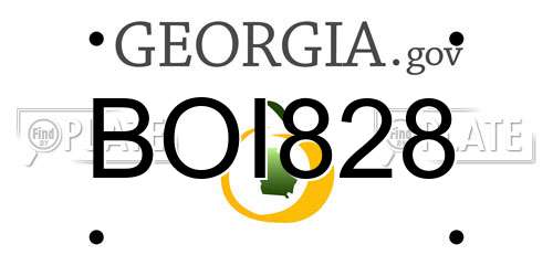 BOI828 Georgia License Plate