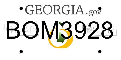 BOM3928 Georgia License Plate