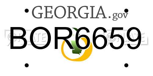 BOR6659 Georgia License Plate