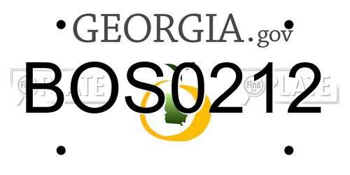 BOS0212 Georgia License Plate