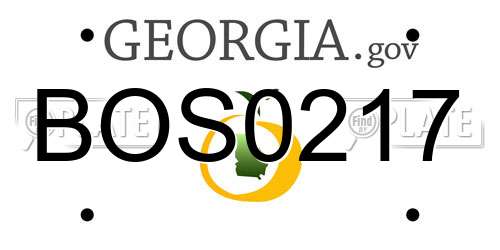 BOS0217 Georgia License Plate