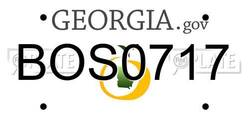 BOS0717 Georgia License Plate