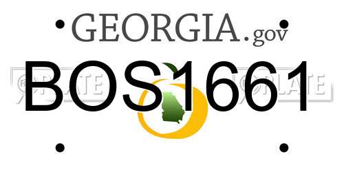 BOS1661 Georgia License Plate