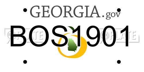 BOS1901 Georgia License Plate