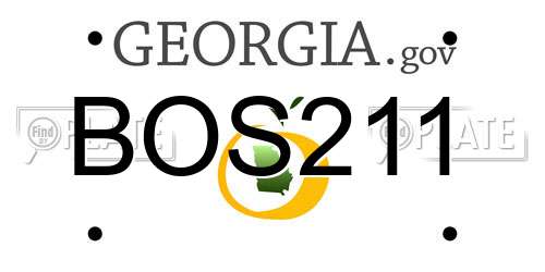 BOS211 Georgia License Plate