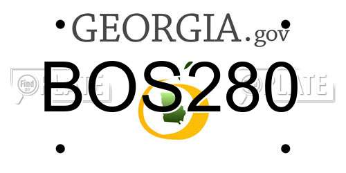 BOS280 Georgia License Plate