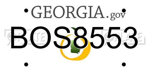 BOS8553 Georgia License Plate