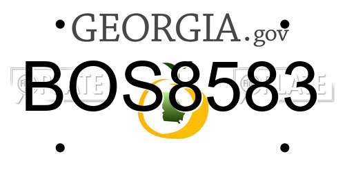 BOS8583 Georgia License Plate