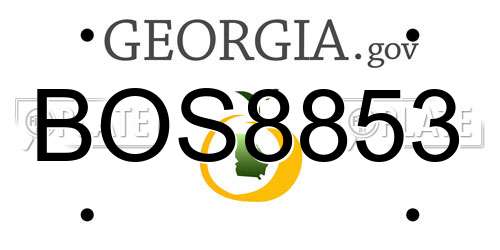 BOS8853 Georgia License Plate