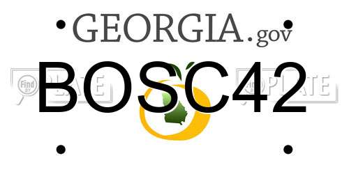 BOSC42 Georgia License Plate