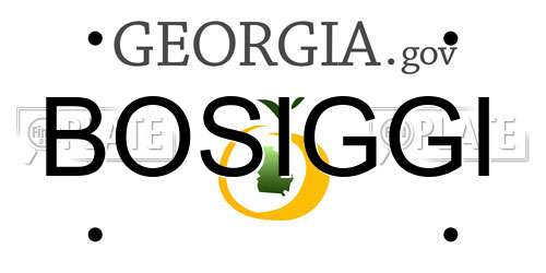 BOSIGGI Georgia License Plate
