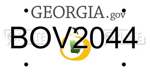 BOV2044 Georgia License Plate