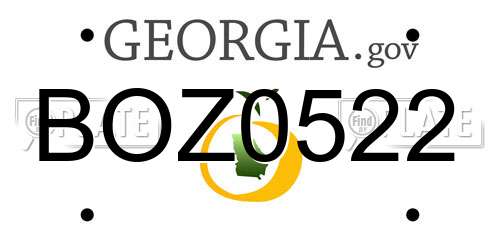 BOZ0522 Georgia License Plate