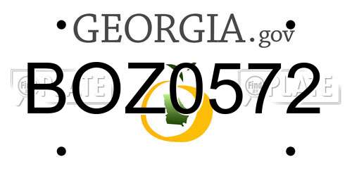 BOZ0572 Georgia License Plate