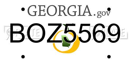 BOZ5569 Georgia License Plate