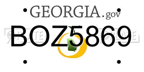 BOZ5869 Georgia License Plate
