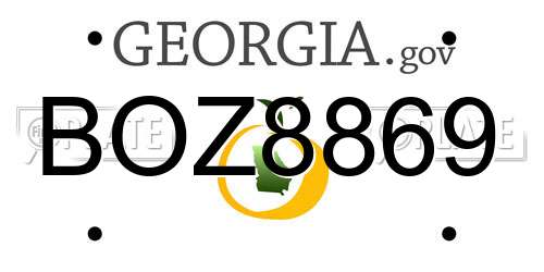 BOZ8869 Georgia License Plate