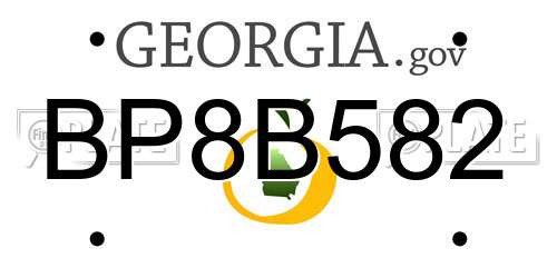 BP8B582 Georgia License Plate