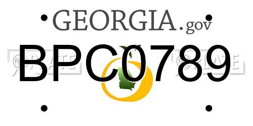 BPC0789 Georgia License Plate