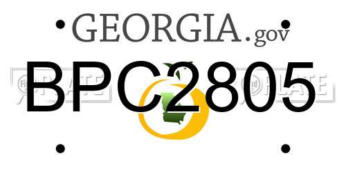 BPC2805 Georgia License Plate