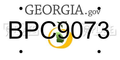 BPC9073 Georgia License Plate