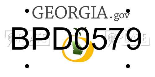 BPD0579 Georgia License Plate