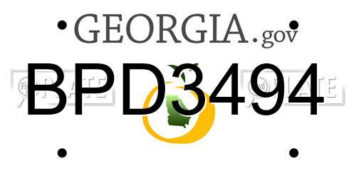 BPD3494 Georgia License Plate