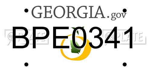 BPE0341 Georgia License Plate