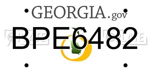 BPE6482 Georgia License Plate