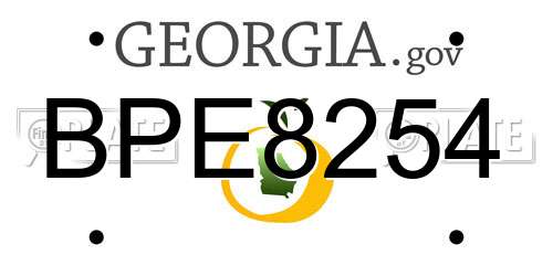 BPE8254 Georgia License Plate