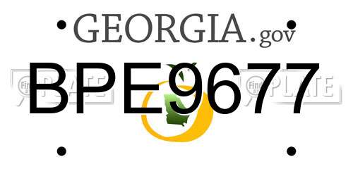 BPE9677 Georgia License Plate