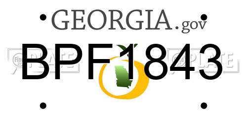 BPF1843 Georgia License Plate