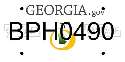 BPH0490 Georgia License Plate