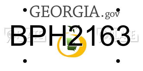 BPH2163 Georgia License Plate